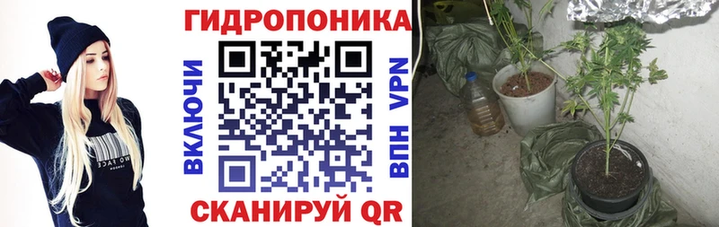 Каннабис OG Kush  omg как войти  Новокубанск 